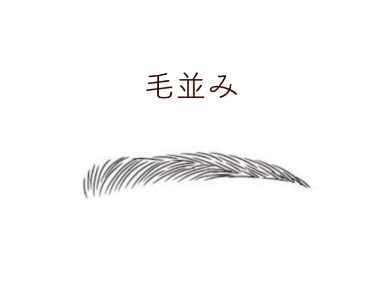 毛並み